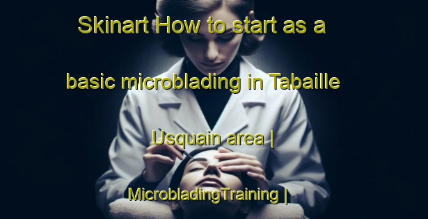 Skinart How to start as a basic microblading in Tabaille Usquain area | MicrobladingTraining | MicrobladingClasses | SkinartTraining-France